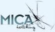 gothics cmh heliski canada, CMH Gothics,mica heliski, Mica Heliski