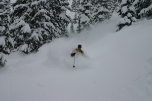 bell 2 nice powder turn bell 2 heliski bc lodge, heliskiing trees