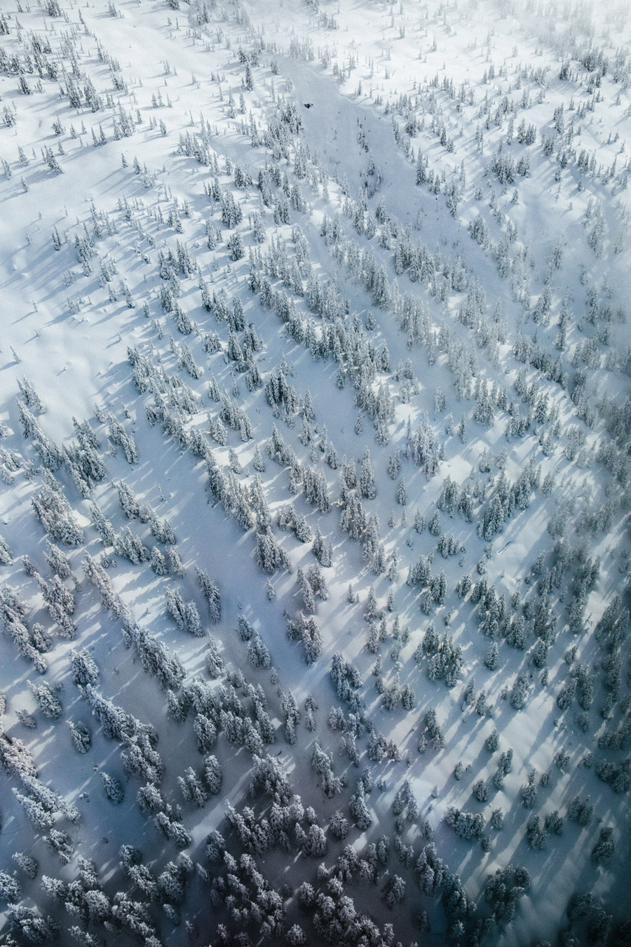 Great Bear Heli Skiing overhead