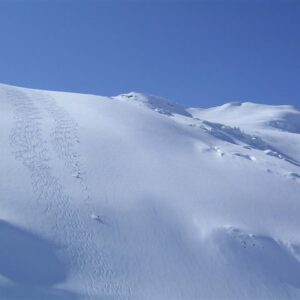Crescent Spur Heli Skiing long bowl run